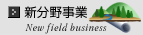 新分野事業